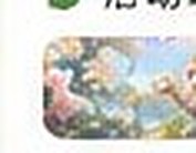 Todas las monedas explicadas: guía de gacha y gasto para F2P